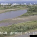 関川 中央橋上流のライブカメラ|新潟県上越市のサムネイル