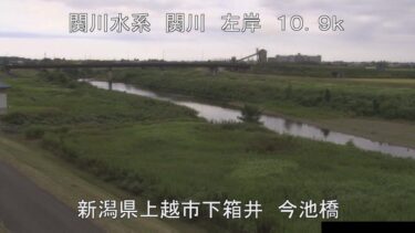 関川 今池橋上流のライブカメラ|新潟県上越市