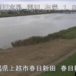 関川 関川大橋下流のライブカメラ|新潟県上越市のサムネイル