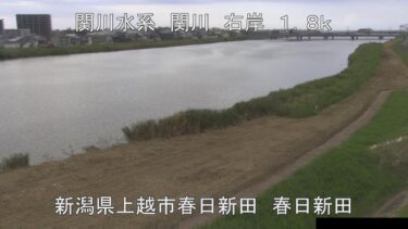 関川 関川大橋下流のライブカメラ|新潟県上越市