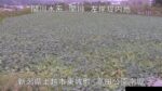 関川 高田公園南堀のライブカメラ|新潟県上越市のサムネイル
