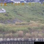 信濃川 五十嵐川合流点のライブカメラ|新潟県三条市のサムネイル