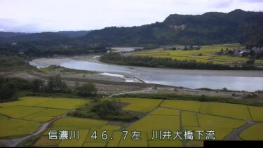 信濃川 川井大橋下流のライブカメラ|新潟県小千谷市