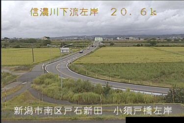 信濃川 小須戸橋左岸のライブカメラ|新潟県新潟市