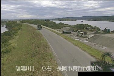 信濃川 真野代新田のライブカメラ|新潟県長岡市
