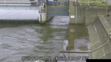 信濃川 新潟大堰左岸下流のライブカメラ|新潟県新潟市