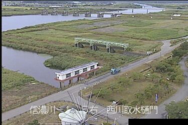信濃川 西川取水樋門のライブカメラ|新潟県燕市