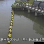 信濃川 西川排水機場のライブカメラ|新潟県新潟市のサムネイル