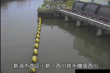 信濃川 西川排水機場のライブカメラ|新潟県新潟市