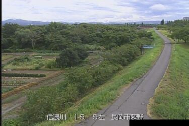 信濃川 荻野のライブカメラ|新潟県長岡市のサムネイル