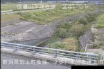 信濃川 才歩川水門左岸上流のライブカメラ|新潟県田上町のサムネイル