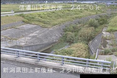 信濃川 才歩川水門左岸上流のライブカメラ|新潟県田上町