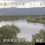 信濃川 鵜森のライブカメラ|新潟県加茂市のサムネイル