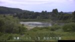 信濃川 牛ヶ島のライブカメラ|新潟県長岡市のサムネイル