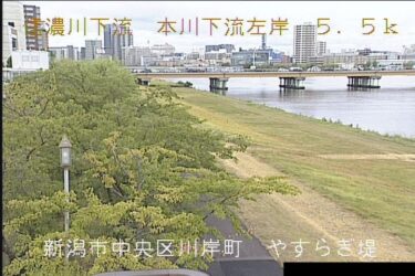 信濃川 やすらぎ堤のライブカメラ|新潟県新潟市