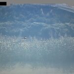 新河岸川 南畑橋観測局のライブカメラ|埼玉県富士見市のサムネイル