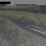 新河岸川 畳橋観測局のライブカメラ|埼玉県川越市のサムネイル