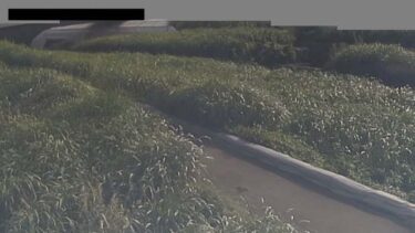 新河岸川 畳橋観測局のライブカメラ|埼玉県川越市