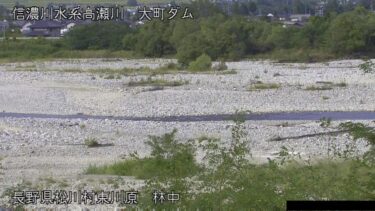 高瀬川 林中のライブカメラ|長野県池田町