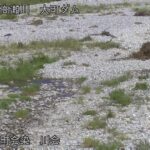 高瀬川 川会のライブカメラ|長野県池田町のサムネイル