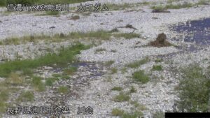 長野県池田町 高瀬川 川会のライブカメラ