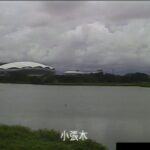 鳥屋野潟 小張木のライブカメラ|新潟県新潟市のサムネイル