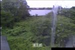 鳥屋野潟 清五郎のライブカメラ|新潟県新潟市のサムネイル