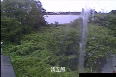鳥屋野潟 清五郎のライブカメラ|新潟県新潟市