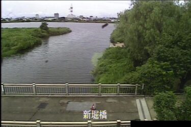 鳥屋野潟 新堀橋のライブカメラ|新潟県新潟市