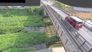 埼玉県小川町 槻川 馬橋観測局のライブカメラ
