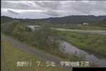 魚野川 江添川樋管周辺のライブカメラ|新潟県魚沼市のサムネイル