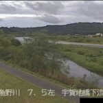 魚野川 江添川樋管周辺のライブカメラ|新潟県魚沼市のサムネイル