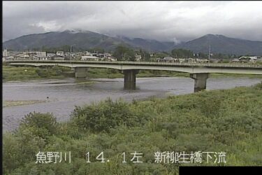 魚野川 古川排水機場周辺のライブカメラ|新潟県魚沼市