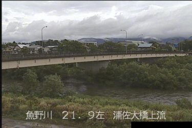 魚野川 浦佐大橋のライブカメラ|新潟県南魚沼市