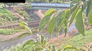 埼玉県所沢市 柳瀬川 清柳橋観測局のライブカメラ