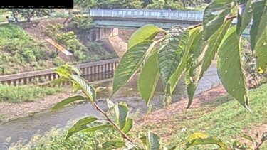柳瀬川 清柳橋観測局のライブカメラ|埼玉県所沢市のサムネイル