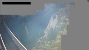 埼玉県所沢市 柳瀬川 勢揃橋観測局のライブカメラ
