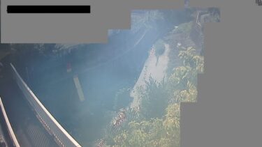 柳瀬川 勢揃橋観測局のライブカメラ|埼玉県所沢市のサムネイル