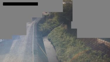 柳瀬川 神明橋観測局のライブカメラ|埼玉県所沢市のサムネイル