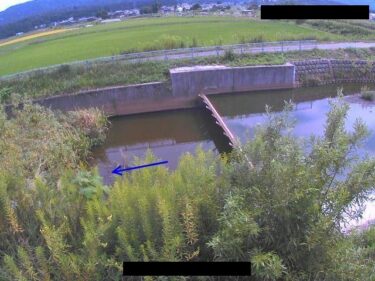 稲葉川放水路 中沢のライブカメラ|新潟県長岡市