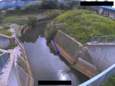 貝喰川 信濃川合流点のライブカメラ|新潟県三条市
