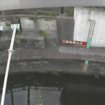 丸子川 滝ノ橋のライブカメラ|東京都世田谷区のサムネイル