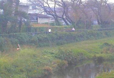 野川 大沢池上のライブカメラ|東京都三鷹市