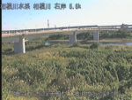相模川 神川橋水位観測所のライブカメラ|神奈川県平塚市のサムネイル
