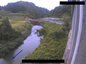 新潟県十日町市 渋海川 室島のライブカメラ