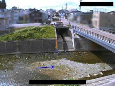田川 田川橋のライブカメラ|新潟県十日町市