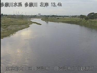 多摩川 田園調布上水位観測所のライブカメラ|東京都大田区