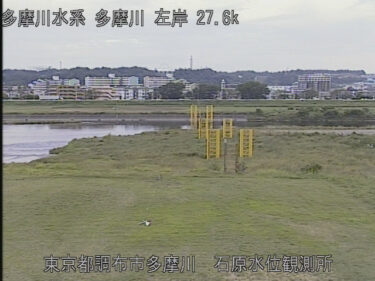 多摩川 石原水位観測所のライブカメラ|東京都調布市