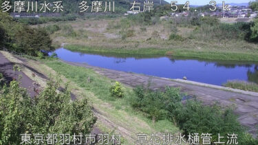 多摩川 草花排水樋管のライブカメラ|東京都羽村市