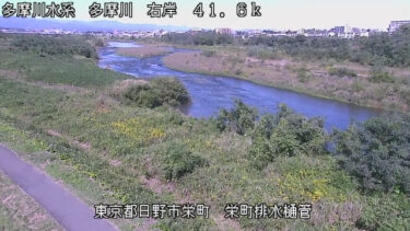 多摩川 栄町排水樋管のライブカメラ|東京都日野市